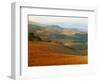 View across Agricultural Landscape at Sunrise, Volterra, Tuscany, Italy, Europe-Tomlinson Ruth-Framed Photographic Print