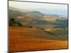 View across Agricultural Landscape at Sunrise, Volterra, Tuscany, Italy, Europe-Tomlinson Ruth-Mounted Photographic Print