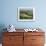 View Across Agricultural Landscape, San Gimignano, Tuscany, Italy-Ruth Tomlinson-Framed Photographic Print displayed on a wall