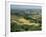 View Across Agricultural Landscape, San Gimignano, Tuscany, Italy-Ruth Tomlinson-Framed Photographic Print