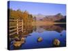View Across Blea Tarn to Langdale Pikes, Lake District, Cumbria, England, UK Autumn-Ruth Tomlinson-Stretched Canvas