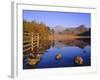 View Across Blea Tarn to Langdale Pikes, Lake District, Cumbria, England, UK Autumn-Ruth Tomlinson-Framed Photographic Print