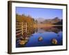 View Across Blea Tarn to Langdale Pikes, Lake District, Cumbria, England, UK Autumn-Ruth Tomlinson-Framed Photographic Print