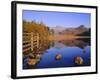 View Across Blea Tarn to Langdale Pikes, Lake District, Cumbria, England, UK Autumn-Ruth Tomlinson-Framed Photographic Print