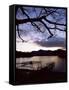 View Across Derwent Water from Lakeside Path at Dusk, Cumbria, England-Ruth Tomlinson-Framed Stretched Canvas