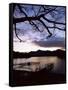 View Across Derwent Water from Lakeside Path at Dusk, Cumbria, England-Ruth Tomlinson-Framed Stretched Canvas