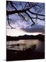 View Across Derwent Water from Lakeside Path at Dusk, Cumbria, England-Ruth Tomlinson-Mounted Photographic Print