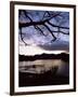 View Across Derwent Water from Lakeside Path at Dusk, Cumbria, England-Ruth Tomlinson-Framed Photographic Print