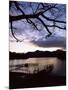 View Across Derwent Water from Lakeside Path at Dusk, Cumbria, England-Ruth Tomlinson-Mounted Photographic Print