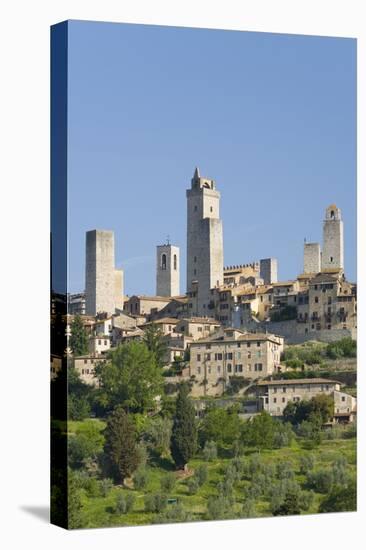 View across Field to Typical Houses and Medieval Towers, San Gimignano, Siena-Ruth Tomlinson-Stretched Canvas