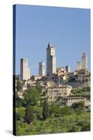 View across Field to Typical Houses and Medieval Towers, San Gimignano, Siena-Ruth Tomlinson-Stretched Canvas