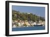 View across Harbour to the Waterfront, Zakynthos Town, Zakynthos (Zante) (Zakinthos)-Ruth Tomlinson-Framed Photographic Print