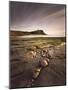 View across Kimmeridge Bay at Dusk Towards Hen Cliff and Clavell Tower, Perbeck District, Dorset-Lee Frost-Mounted Photographic Print