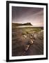 View across Kimmeridge Bay at Dusk Towards Hen Cliff and Clavell Tower, Perbeck District, Dorset-Lee Frost-Framed Photographic Print