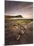 View across Kimmeridge Bay at Dusk Towards Hen Cliff and Clavell Tower, Perbeck District, Dorset-Lee Frost-Mounted Photographic Print