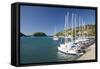 View across Lakka Bay, Yachts Lined Up Along the Quay, Lakka-Ruth Tomlinson-Framed Stretched Canvas