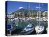 View across Marina, Marbella, Andalucia, Costa del Sol, Spain, Europe-Stuart Black-Stretched Canvas