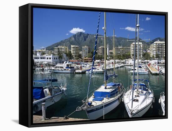 View across Marina, Marbella, Andalucia, Costa del Sol, Spain, Europe-Stuart Black-Framed Stretched Canvas