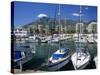 View across Marina, Marbella, Andalucia, Costa del Sol, Spain, Europe-Stuart Black-Stretched Canvas