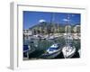 View across Marina, Marbella, Andalucia, Costa del Sol, Spain, Europe-Stuart Black-Framed Photographic Print