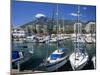View across Marina, Marbella, Andalucia, Costa del Sol, Spain, Europe-Stuart Black-Mounted Photographic Print