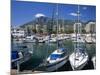 View across Marina, Marbella, Andalucia, Costa del Sol, Spain, Europe-Stuart Black-Mounted Photographic Print