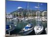 View across Marina, Marbella, Andalucia, Costa del Sol, Spain, Europe-Stuart Black-Mounted Photographic Print