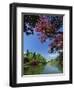 View across Pond to House, Sheffield Park Garden, East Sussex, England, United Kingdom, Europe-Tomlinson Ruth-Framed Photographic Print