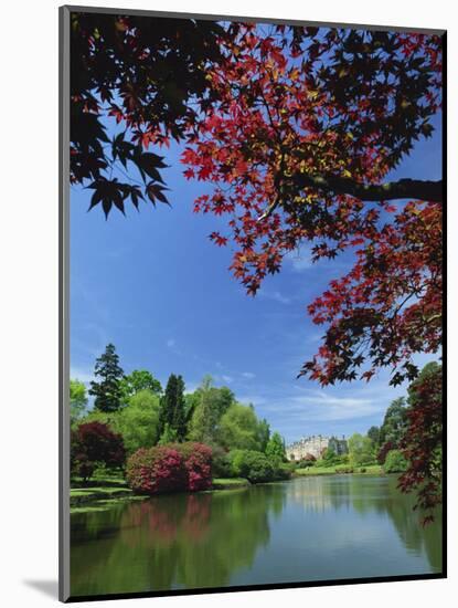 View across Pond to House, Sheffield Park Garden, East Sussex, England, United Kingdom, Europe-Tomlinson Ruth-Mounted Photographic Print