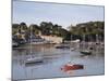 View Across River Estuary to Town Wall Quay and Harbour with Moored Boats on Calm Water, Wales-Pearl Bucknall-Mounted Photographic Print