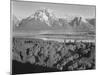 View Across River Valley Toward "Mount Moran" Grand Teton, National Park Wyoming. 1933-1942-Ansel Adams-Mounted Art Print