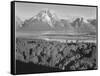 View Across River Valley Toward "Mount Moran" Grand Teton, National Park Wyoming. 1933-1942-Ansel Adams-Framed Stretched Canvas