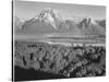 View Across River Valley Toward "Mount Moran" Grand Teton, National Park Wyoming. 1933-1942-Ansel Adams-Stretched Canvas