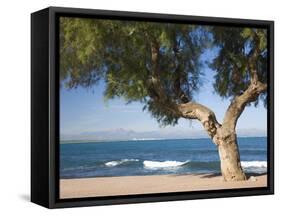 View across the Bay of Alcudia from Seafront Promenade, Colonia De Sant Pere, Near Arta, Mallorca,-Ruth Tomlinson-Framed Stretched Canvas