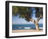 View across the Bay of Alcudia from Seafront Promenade, Colonia De Sant Pere, Near Arta, Mallorca,-Ruth Tomlinson-Framed Photographic Print