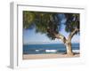 View across the Bay of Alcudia from Seafront Promenade, Colonia De Sant Pere, Near Arta, Mallorca,-Ruth Tomlinson-Framed Photographic Print