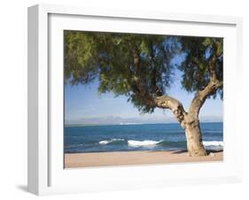 View across the Bay of Alcudia from Seafront Promenade, Colonia De Sant Pere, Near Arta, Mallorca,-Ruth Tomlinson-Framed Photographic Print