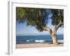 View across the Bay of Alcudia from Seafront Promenade, Colonia De Sant Pere, Near Arta, Mallorca,-Ruth Tomlinson-Framed Photographic Print