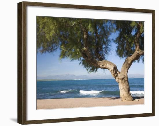 View across the Bay of Alcudia from Seafront Promenade, Colonia De Sant Pere, Near Arta, Mallorca,-Ruth Tomlinson-Framed Photographic Print