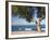 View across the Bay of Alcudia from Seafront Promenade, Colonia De Sant Pere, Near Arta, Mallorca,-Ruth Tomlinson-Framed Photographic Print