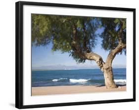 View across the Bay of Alcudia from Seafront Promenade, Colonia De Sant Pere, Near Arta, Mallorca,-Ruth Tomlinson-Framed Photographic Print