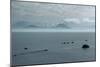 View across the Bay of Tunis-CM Dixon-Mounted Photographic Print