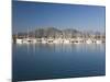 View across the Harbour Port D'Alcudia, Mallorca, Balearic Islands, Spain, Mediterranean, Europe-Ruth Tomlinson-Mounted Photographic Print