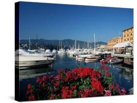 View Across the Harbour, Santa Margherita Ligure, Portofino Peninsula, Liguria, Italy-Ruth Tomlinson-Stretched Canvas