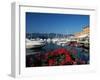 View Across the Harbour, Santa Margherita Ligure, Portofino Peninsula, Liguria, Italy-Ruth Tomlinson-Framed Photographic Print