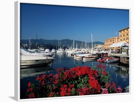 View Across the Harbour, Santa Margherita Ligure, Portofino Peninsula, Liguria, Italy-Ruth Tomlinson-Framed Photographic Print