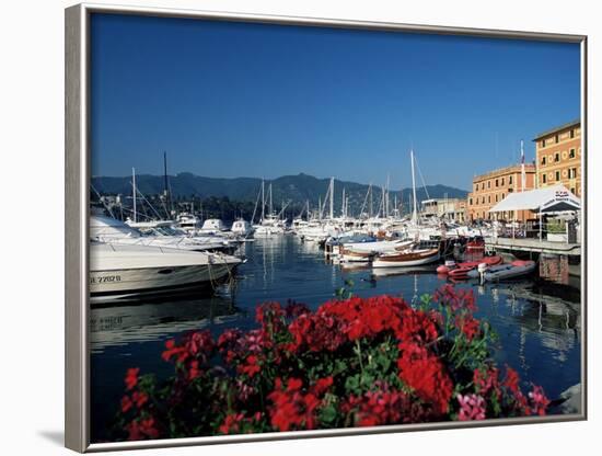 View Across the Harbour, Santa Margherita Ligure, Portofino Peninsula, Liguria, Italy-Ruth Tomlinson-Framed Photographic Print