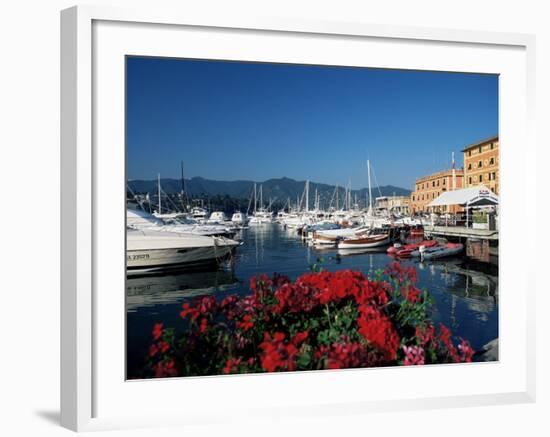 View Across the Harbour, Santa Margherita Ligure, Portofino Peninsula, Liguria, Italy-Ruth Tomlinson-Framed Photographic Print