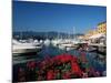 View Across the Harbour, Santa Margherita Ligure, Portofino Peninsula, Liguria, Italy-Ruth Tomlinson-Mounted Photographic Print