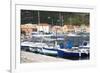 View across the Harbour to Colourful Waterfront Buildings-Ruth Tomlinson-Framed Photographic Print